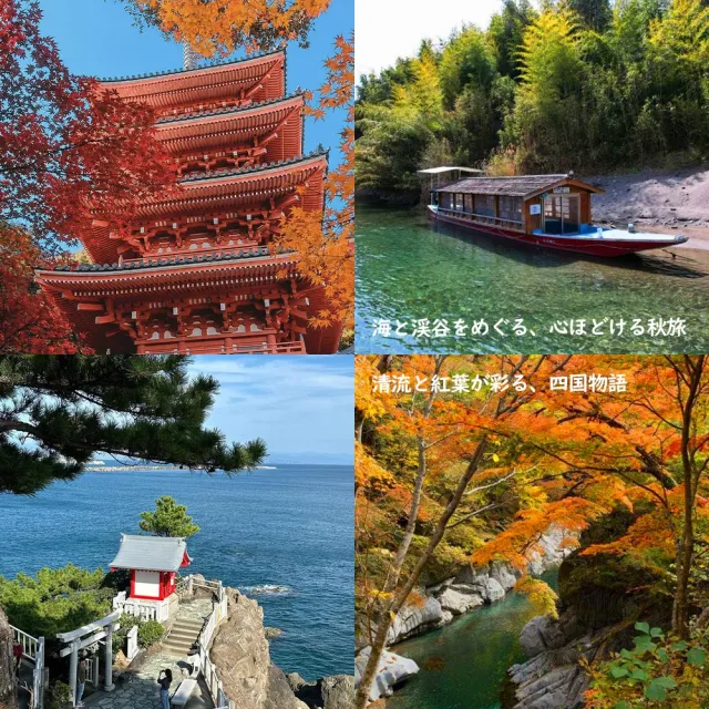 【PlayEZ 美好假期】四國秋楓鐵道紀行.仁淀川遊船.松山古城溫泉5日