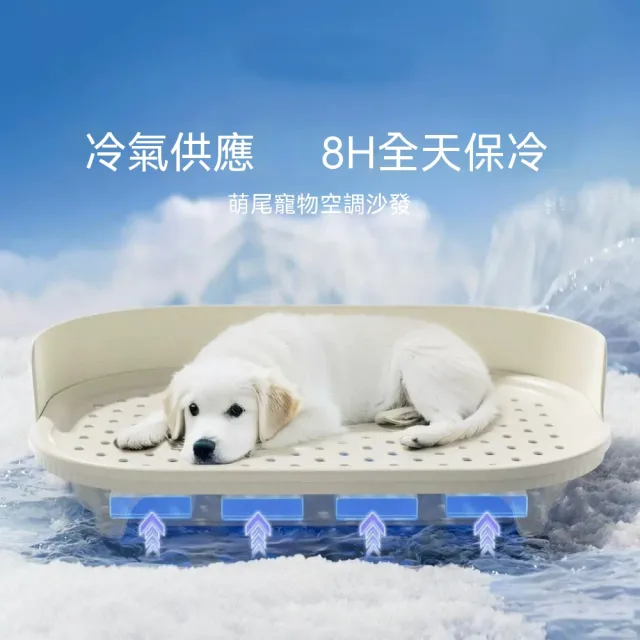 【2026】寵物涼墊推薦｜10款高評價人氣品牌排行榜 | BALIMAN情報局