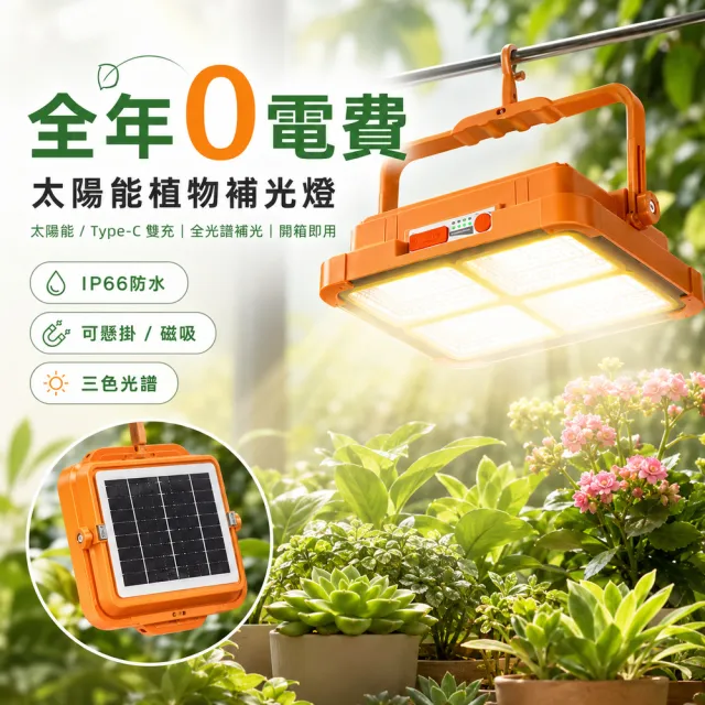 【2026】太陽能燈推薦10款高評價太陽能燈品牌排行 | BALIMAN情報局
