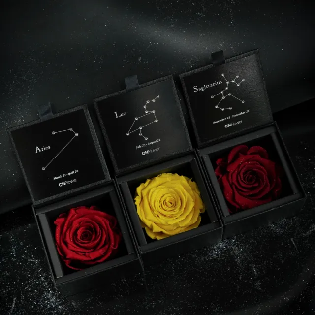 【CNFlower 西恩】星座恆星花2.0-12星座 升級皮革外盒 質感送禮(永生花/驚喜/居家布置/生日)