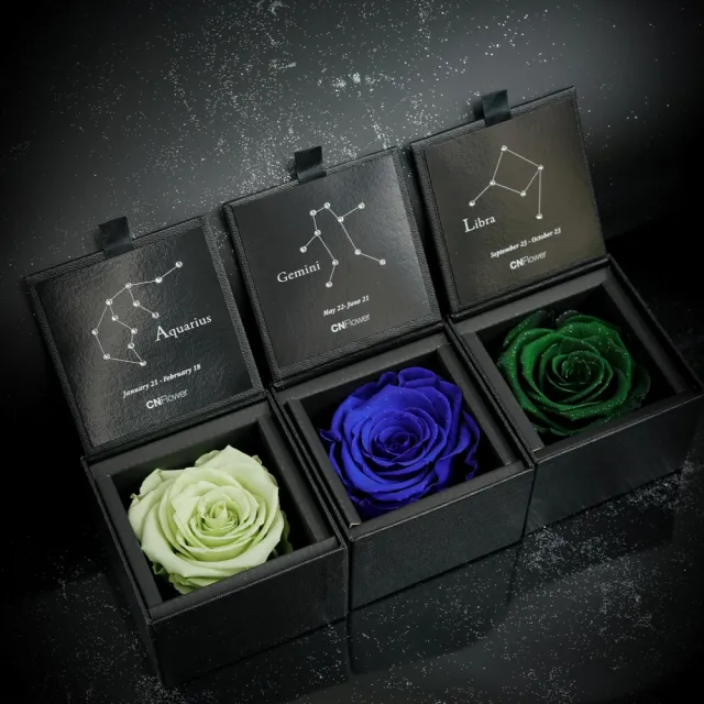【CNFlower 西恩】星座恆星花2.0-12星座 升級皮革外盒 質感送禮(永生花/驚喜/居家布置/生日)