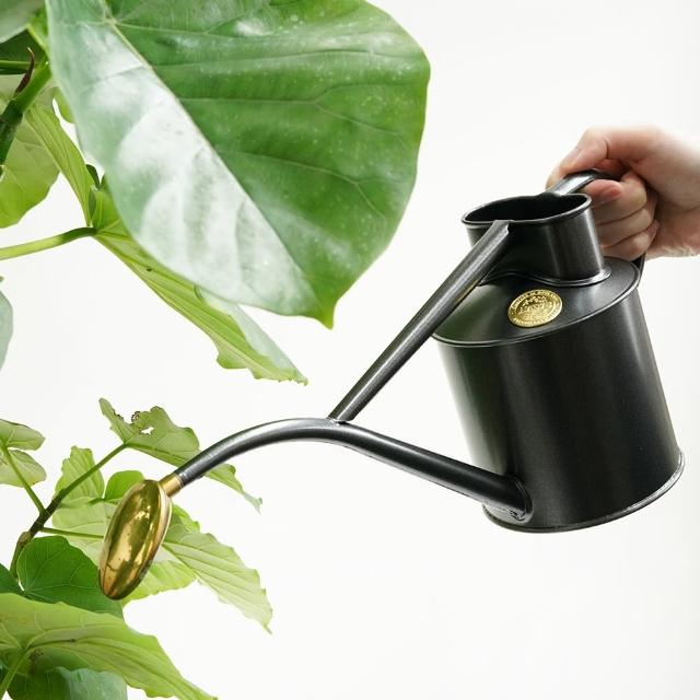 【CNFlower 西恩】HAWS 室內澆水壺1L 6色(園藝/園藝工具/灑水胡)