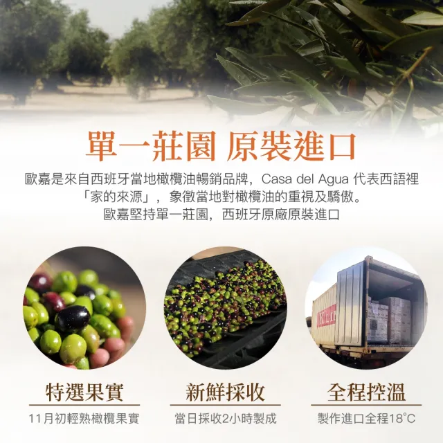 【Casa del Agua 歐嘉】西班牙特級冷壓初榨橄欖油Picual 500mlx3入+A.R頂級黑松露蘑菇醬90g松露含量15%