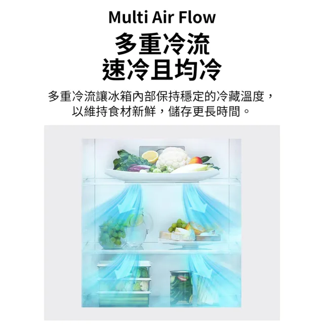 【LG 樂金】家電快配461公升一級能效WIFI智慧變頻右開雙門冰箱 星辰銀(GN-HL460PS)