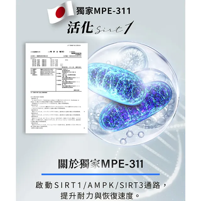 【AmaBios 亞馬生醫】MPE-311靈活粒現2盒(30粒/盒 專利鹿茸多萃取)