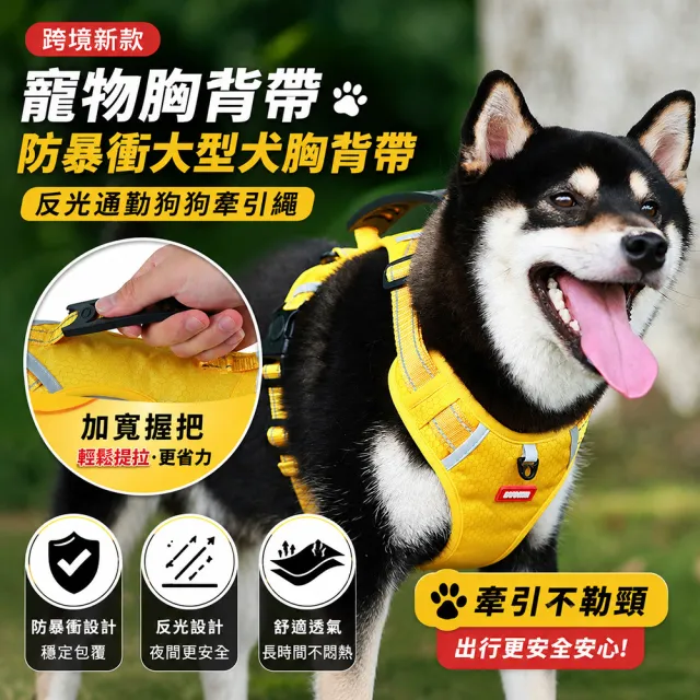 | BALIMAN情報局 【2026】胸背帶推薦ptt》10款高評價人氣品牌排行榜 | BALIMAN情報局