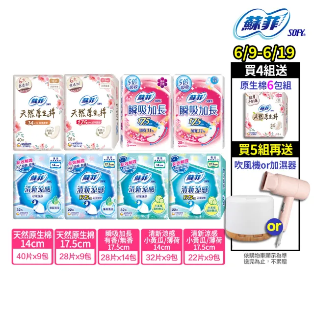 | BALIMAN情報局 【2026】護墊推薦ptt》10款高評價人氣品牌排行榜 | BALIMAN情報局