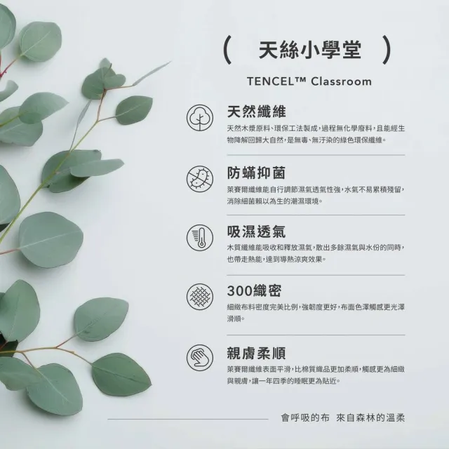 60支 100%萊賽爾天絲 單床包-標準單人/單人加大(多色任選/均一價)