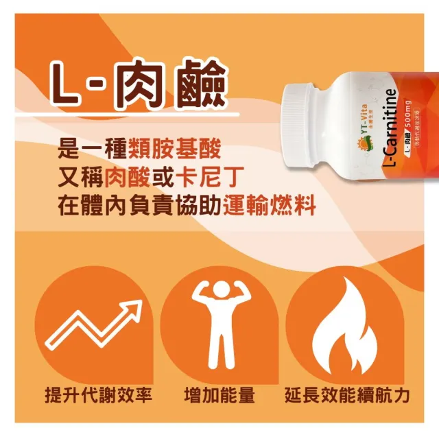 l carnitine 是什么 YT-vita 永騰生技】L-肉鹼L-carnitine 2入共120顆(肉鹼肉酸卡尼丁L-carnitine)