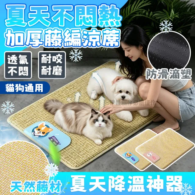 【2026】透氣涼墊推薦10款高評價人氣品牌排行榜 | BALIMAN情報局
