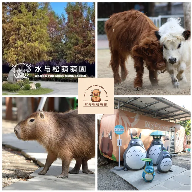 【南投水与松萌萌園】幼兒票★萌寵動物大集合親子出遊首選(含在地小禮物兌換券)