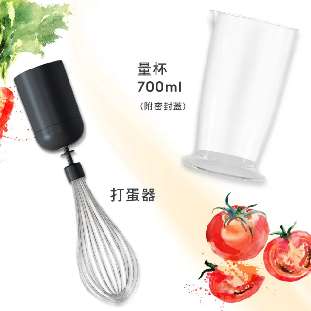 【Electrolux 伊萊克斯】手持式攪拌棒組(E5HB1-59GG)
