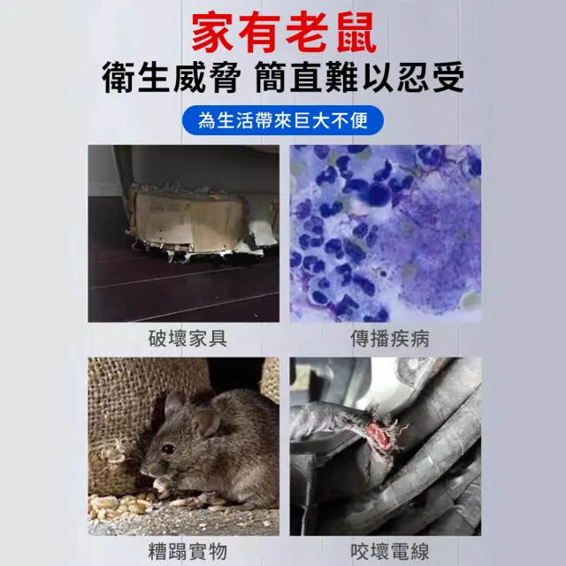 【QLZHS】全自動超強捕鼠器 鼠洞式捕鼠器 鐵製捕鼠籠 抓鼠籠 老鼠籠 驅鼠器 滅鼠器 家用捕鼠神器