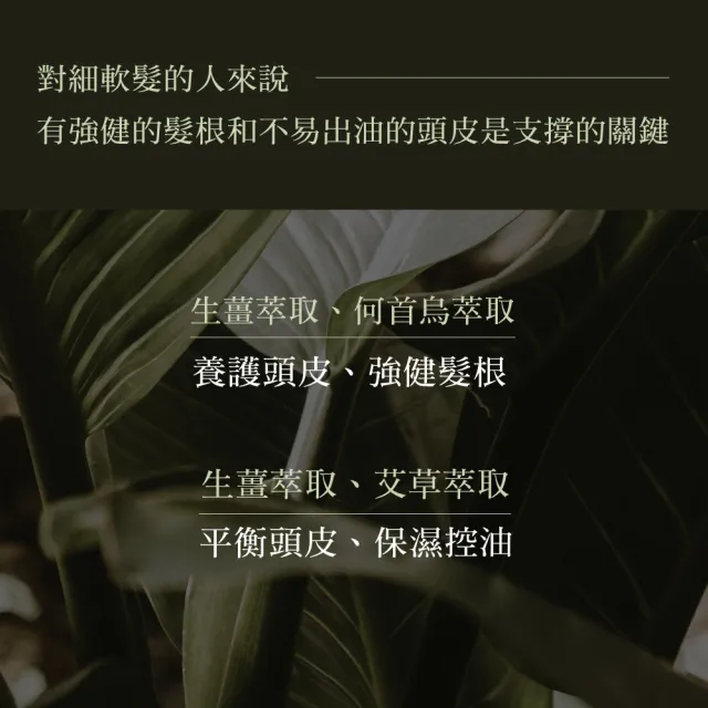 【KAFEN 卡氛】加大版 療癒草本洗髮系列800ml(艾草控油/龍膽護色/芍藥去屑)控油洗髮 頭皮舒緩