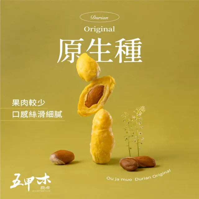 【五甲木】官方直營-泰國原生種榴槤4包(300g/包)冷凍榴槤