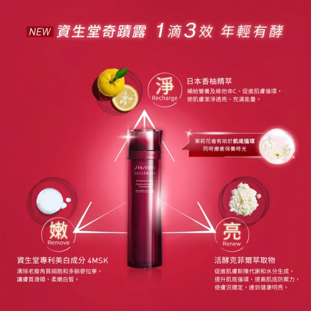 【SHISEIDO 資生堂國際櫃】睫毛夾
