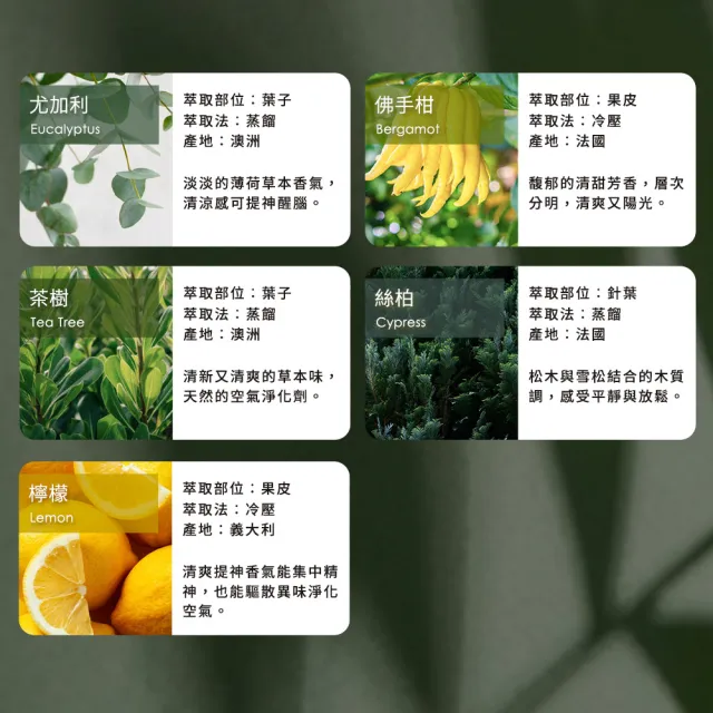 【mo select】100%植物精油3入超值組-靜謐平衡調贈水氧機(mo選/香氛機/薰香機/香氛/加濕器/禮物)