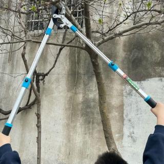 【巧可】粗枝剪 大力剪 修枝剪 果樹剪 SK5 鋼修枝剪 農用機具 伸縮園林剪刀 大號鎧甲伸縮款