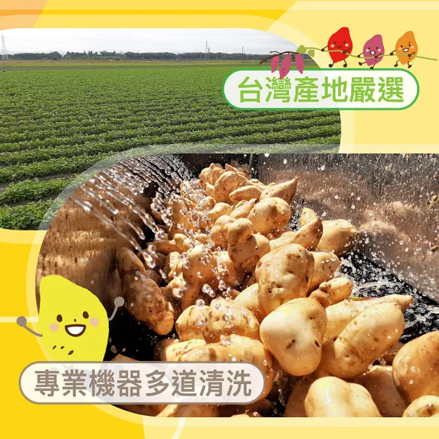【田食原】新鮮黃金冰烤地瓜 1Kg/包X6包(養生健康 運動健身 低熱量 低GI)
