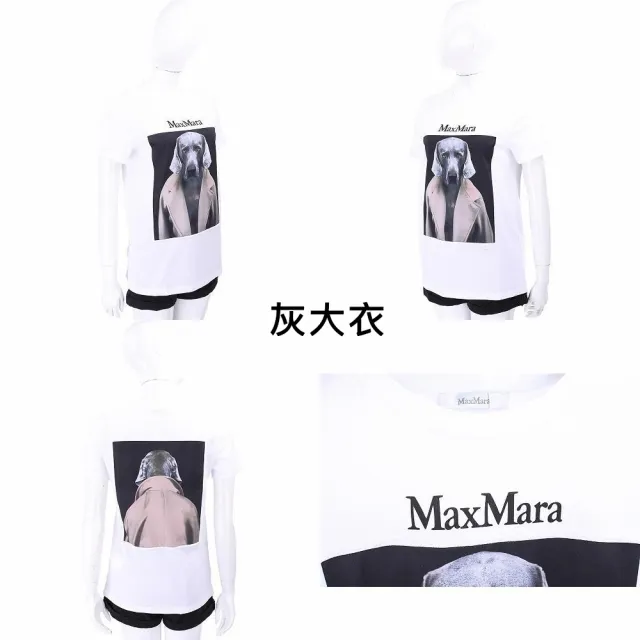 【MaxMara】CIPRIA 威瑪臘犬TEE T恤-3色可選(CIPRIA威瑪臘犬T 上衣 短袖 棉T 狗狗)
