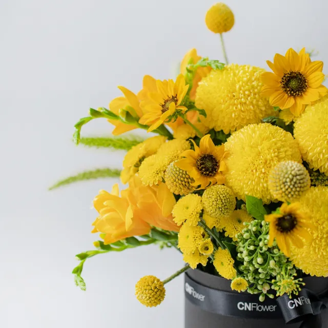 【CNFlower 西恩】畢業季 SHINE青春閃耀 鮮花禮盒(鮮花/驚喜/祝福)