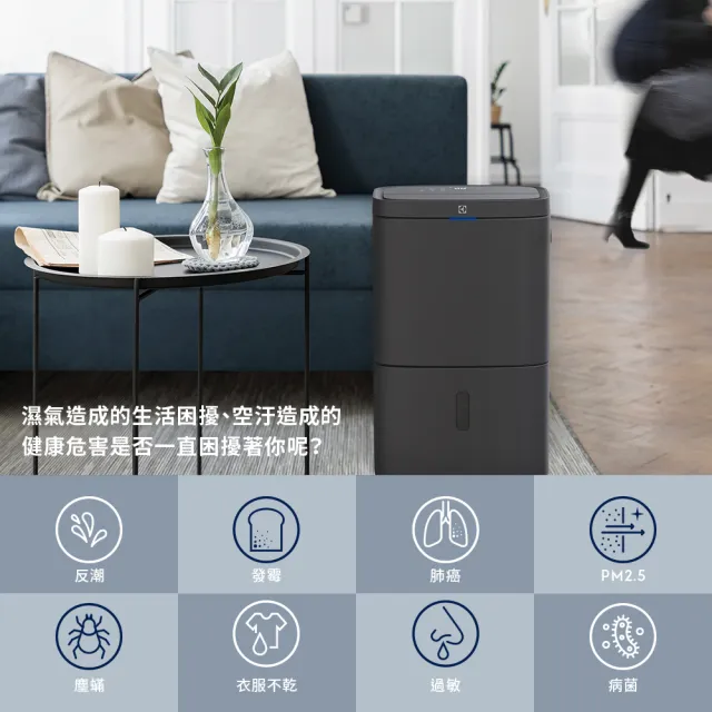 【Electrolux 伊萊克斯】16L極適家居700 WIFI清淨除濕機(ED1671DC曜岩灰)