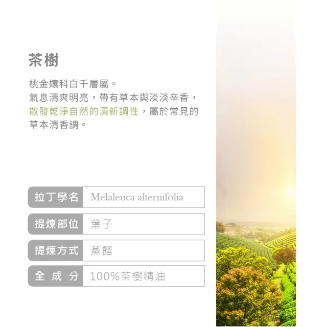 【ANDZEN】安得仁 澳洲單方純精油 檸檬香茅/檸檬草100ml+茶樹100ml+迷迭香30ml(草本清新 超值3入組)