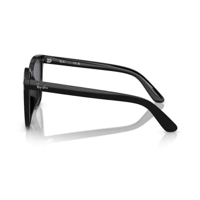 【RayBan 雷朋】大鏡片膠框太陽眼鏡 小臉神器 原廠公司貨(RB4401D 601/87、 601/71 57mm 多款選擇)