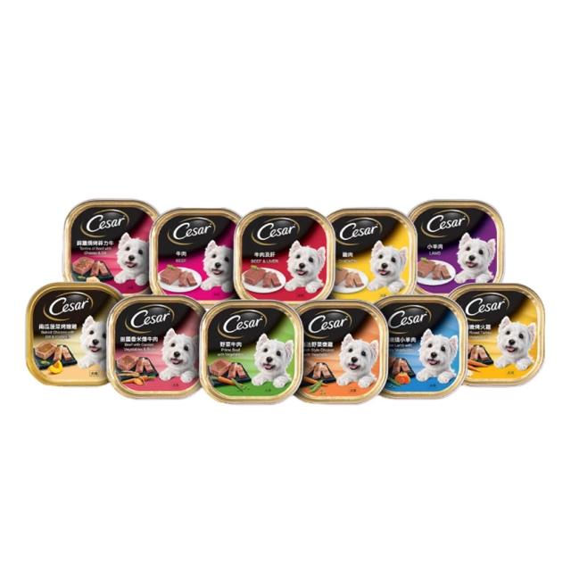 【Cesar 西莎】精緻/風味餐盒 100g*96入(狗罐/犬餐盒/熟齡犬/全齡適用)