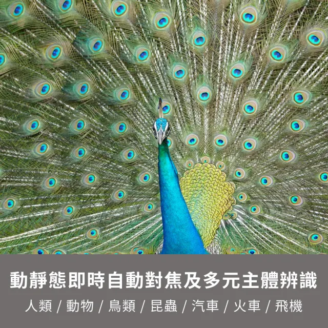 【SONY 索尼】APS-C 數位相機 ILCE-6700K SELP16502 電動變焦鏡組(公司貨 保固18+6個月)