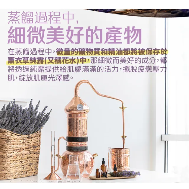 【古寶無患子】2瓶入-法國真正薰衣草花水 化妝水/濕敷/控油/保濕/舒緩(250mlx2)