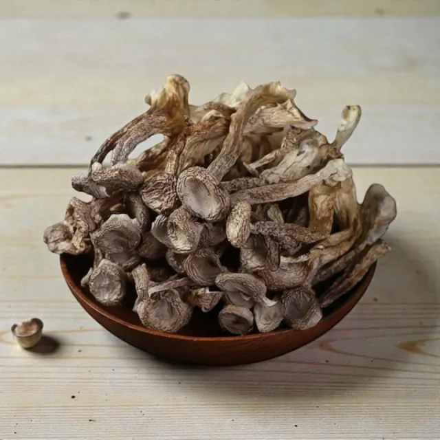 【GAN XIN LIAN PIN 柑心良品】柑心良品-鹿茸菇-4包組(60g*4包)