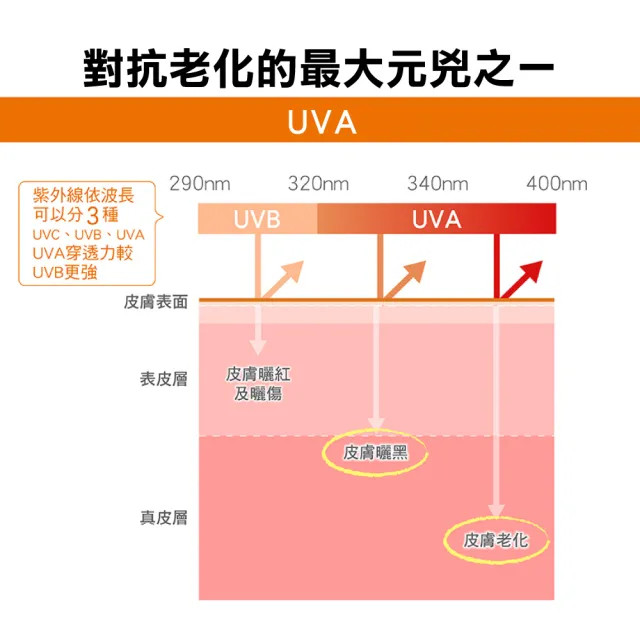【Avene 雅漾】官方直營 全效潤色防曬霜 50mlx2(物理性防曬)