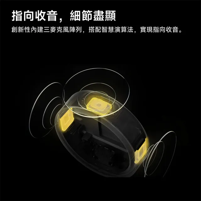 【Insta360】Mic Pro 兩發一收 原廠公司貨