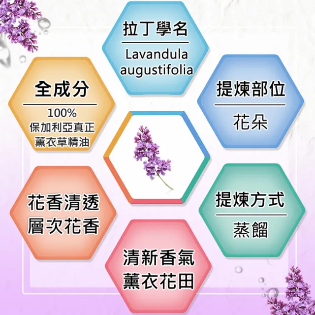 【Warm】森林浴系列單方純精油100ml(保加利亞真正薰衣草)