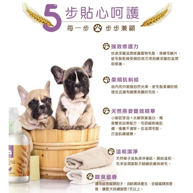 【Arf Arf 旺芙】毛小孩頂級SPA保養 絲光柔馭 燕麥寵物護毛乳 500ml (台灣研發/柔順亮澤/寵物潤絲)