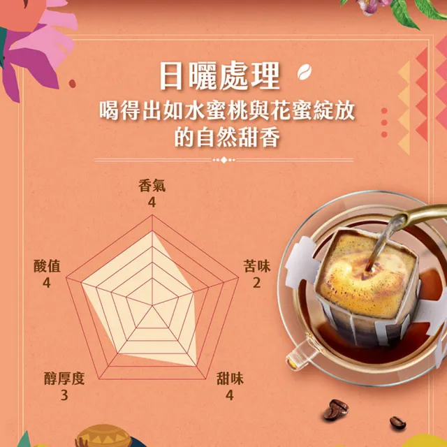 【NESCAFE 雀巢咖啡】金牌綜合濾掛咖啡x2盒(買一送一共兩盒) 耶加雪菲 陽光 堅果 冰萃