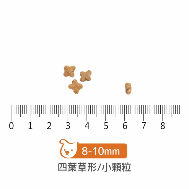 【Now!】小型成犬鮮肉配方3.5磅  狗狗無穀天然糧(狗糧 狗飼料 小顆粒 益生菌)