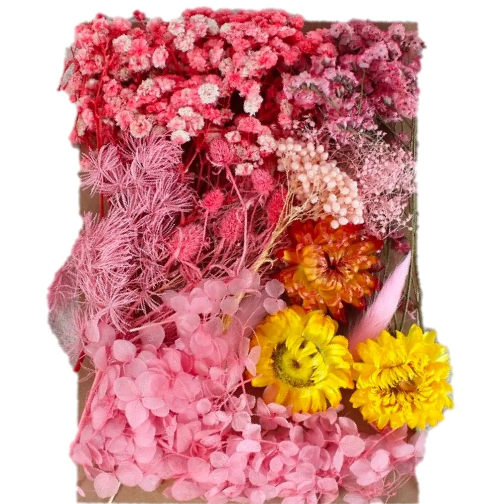 【A-ONE 匯旺】天然乾燥花 材料包 乾燥花材 花藝材料 松果 乾花 永生花 橡實 花瓣 拍照道具 婚禮(C06)