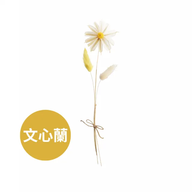 【C&F 香研所】任選3入 天然乾燥花束(居家香氛/香水精油/擴香禮物)