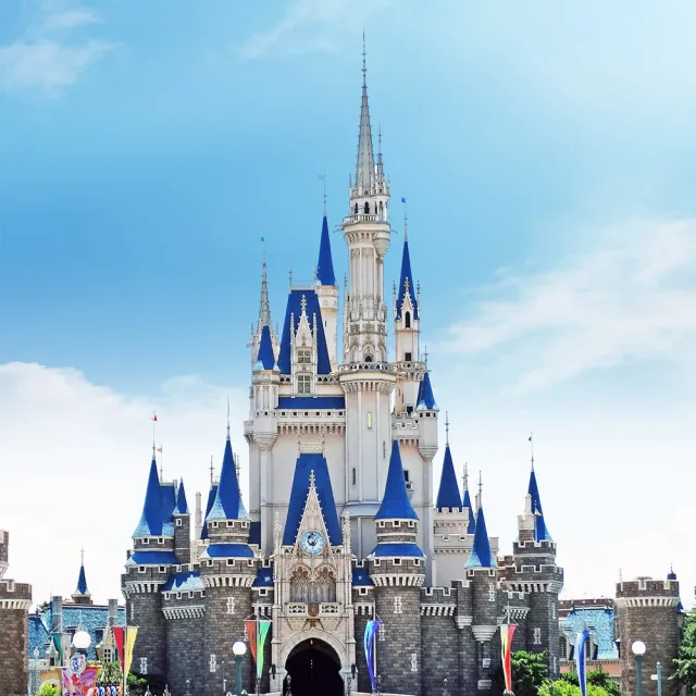 【喜鴻假期】★超值促銷高雄出發★東京５日機票★贈行李托運20公斤+手提7公斤(單人券含稅/純機票)