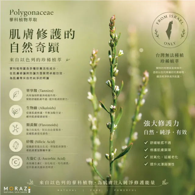 【Moraz 茉娜姿】足部修護霜100ml(專業版PROF)