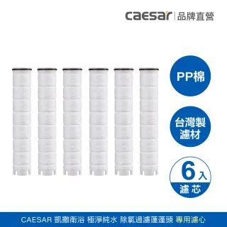 【CAESAR 凱撒衛浴】極淨純水 除氯過濾蓮蓬頭 替換濾芯 6 入組(PP 過濾綿)
