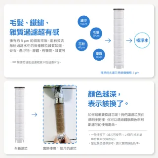 【CAESAR 凱撒衛浴】極淨純水 除氯過濾蓮蓬頭 替換濾芯 12 入組(PP 過濾綿)