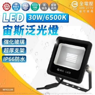 【DanceLight 舞光】1入 LED 30W 宙斯 泛光燈 白光 自然光 黃光 140度 IP66 投光燈 全電壓