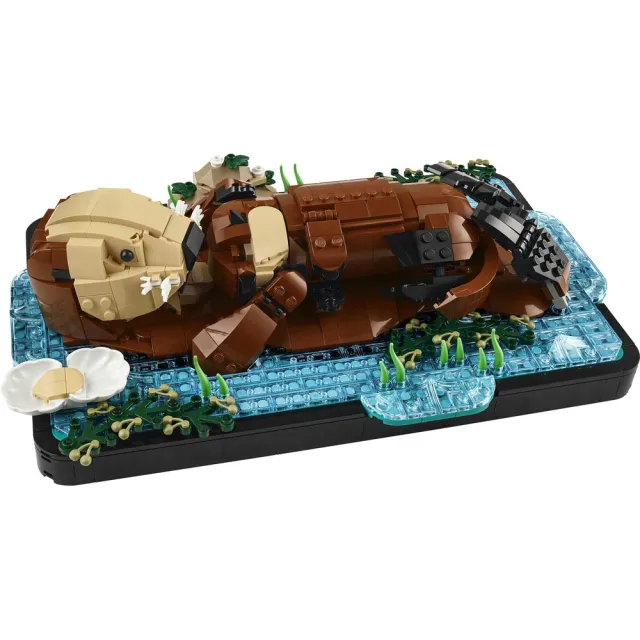 【LEGO 樂高】Ideas 21366 漂浮海獺(動物玩具 居家擺設 玩具 積木 禮物)