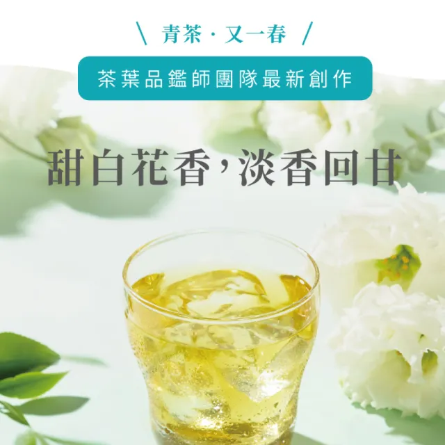 【Teascovery 發現茶】2盒兒茶素青茶 (30入/盒;甜白花香;促進新陳代謝;冷泡茶包)