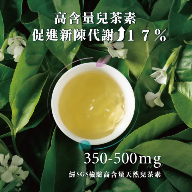 【Teascovery 發現茶】2盒兒茶素青茶 (30入/盒;甜白花香;促進新陳代謝;冷泡茶包)