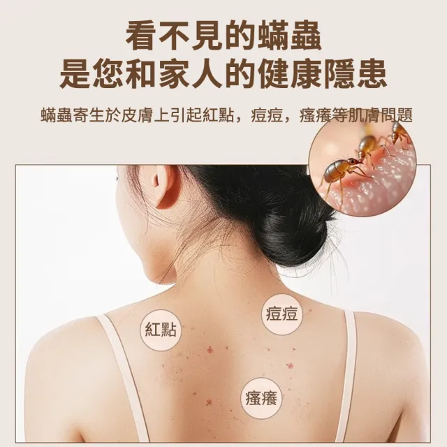 【XINGMU 興沐】內衣內褲收納盒 貼身衣物三合一整理盒 家用抽屜式分格神器