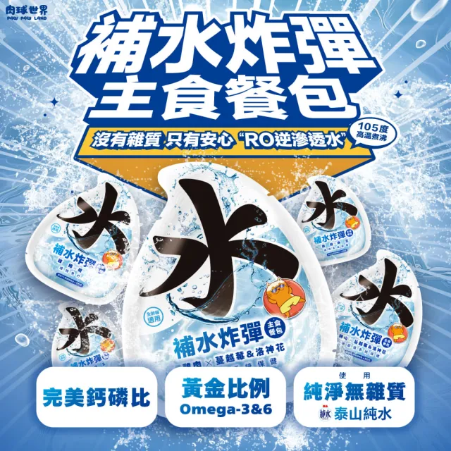 【PAW PAW LAND 肉球世界】補水炸彈主食餐包45gx48入(貓咪主食餐包)